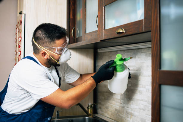 Trusted Sunray, TX Pest Control Experts