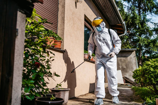 Best Wasp Removal Services  in Sunray, TX