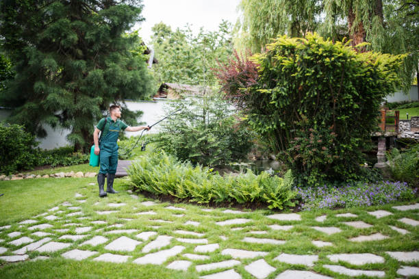 Best Pest Control Treatment  in Sunray, TX