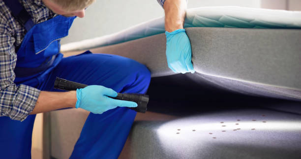 Best Pest Control for Restaurants  in Sunray, TX