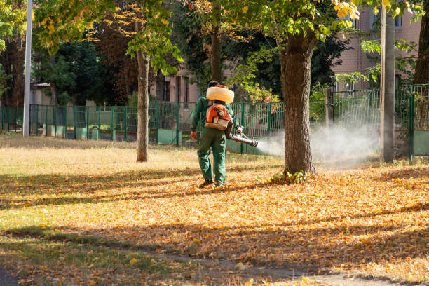 Pest Control for Restaurants in Sunray, TX