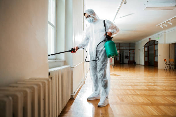 Best Insect Control  in Sunray, TX