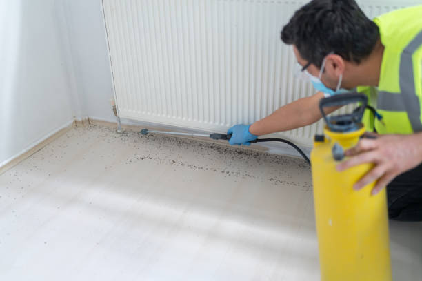 Best Cockroach Control Services  in Sunray, TX