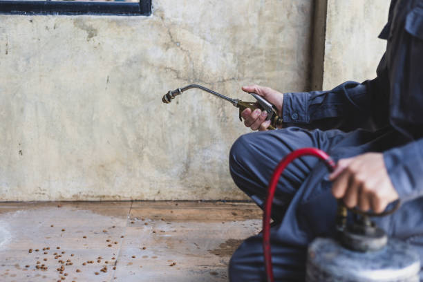 Best Pest Prevention Services  in Sunray, TX
